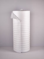 FOMPEFOAM2